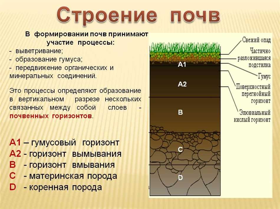 Jak se nazývá písek s hlínou?