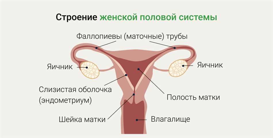 Кандидозный кольпит лечение у женщин препараты схема лечения